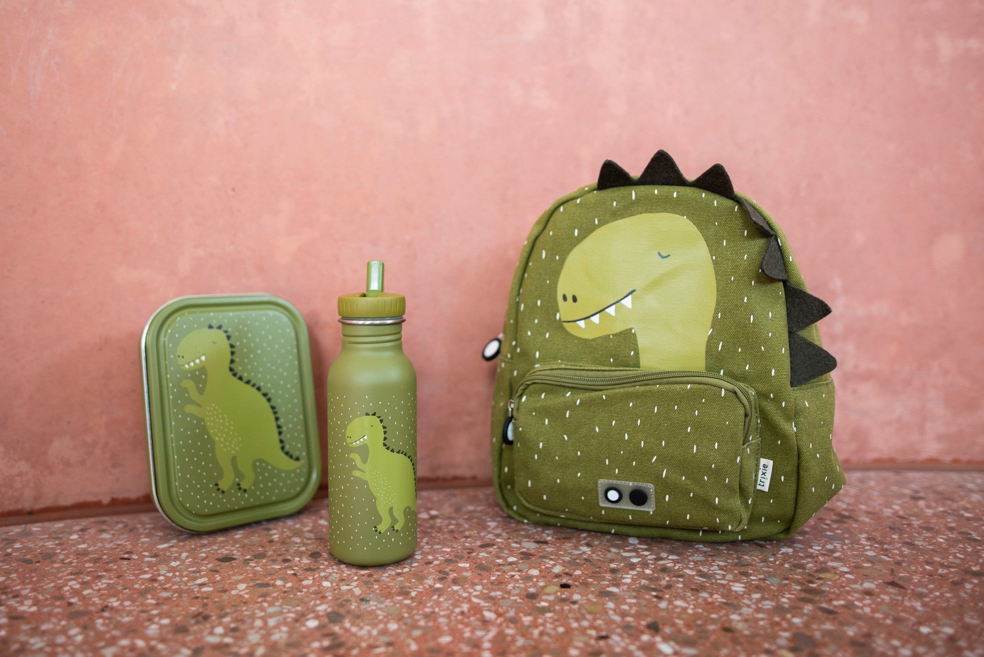 Large Lunch Box - Mr. Dino